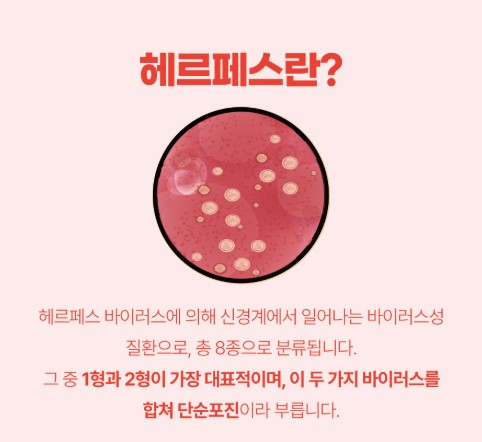 헤르페스바이러스