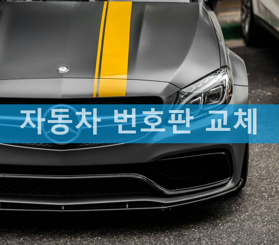 자동차 번호판 교체