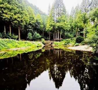 온빛자연휴양림 위치