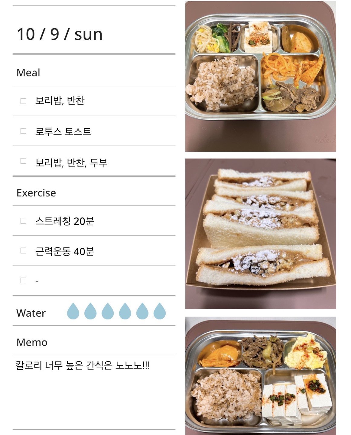 일반식으로 근력 키우기 다이어트 일기 7day