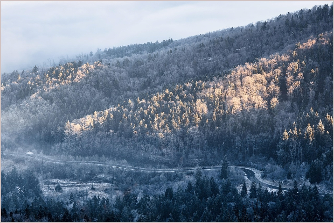 그랜저 신차가격표