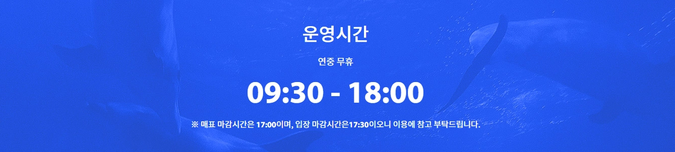제주-아쿠아플라넷-가격-입장료-할인-영업-시간