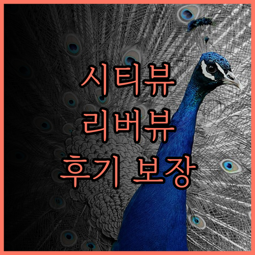 더 브리지 클럽, 환상적인 시티뷰와