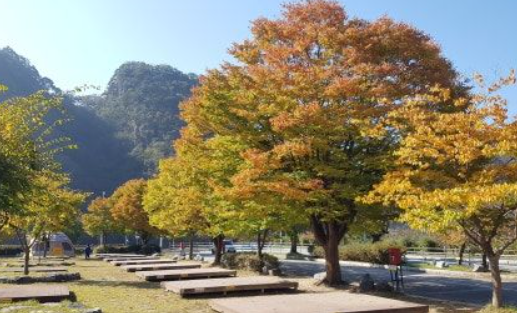 2025 충청도 단풍 명산 코스 추천 ❘ 월악산&middot;계룡산&middot;속리산 절정 시기