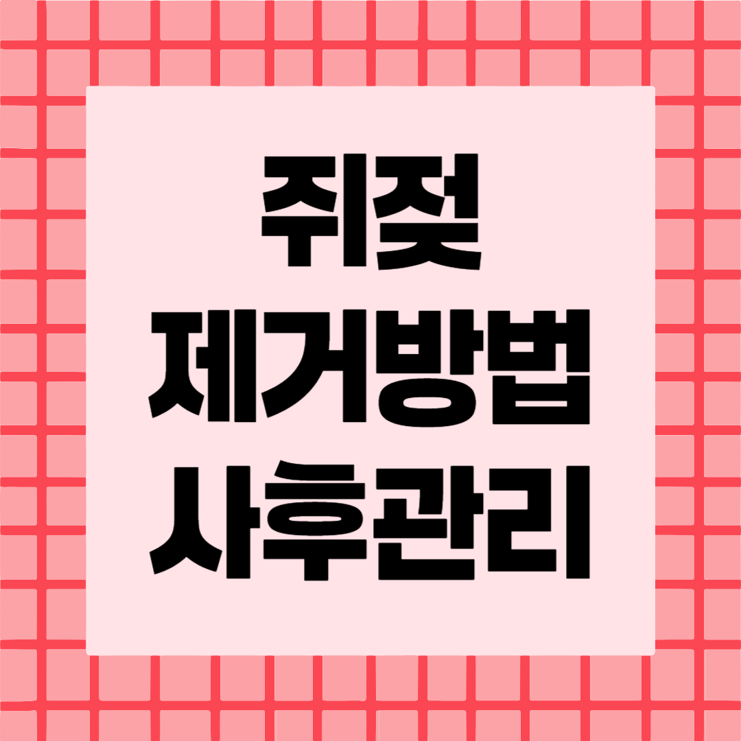 쥐젖 제거 방법
