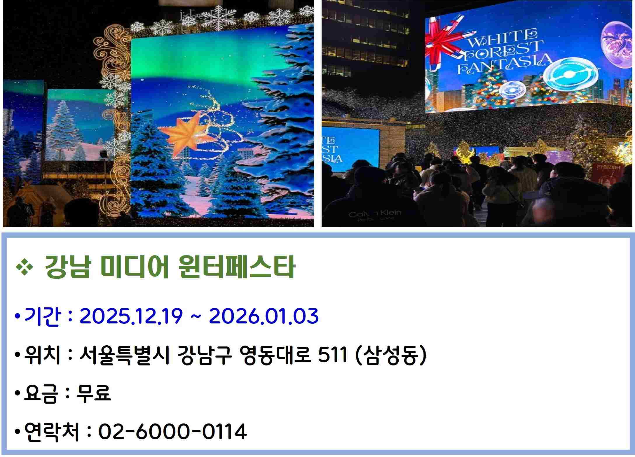 강남 미디어 윈터페스타