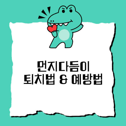 먼지다듬이 퇴치법 및 예방법