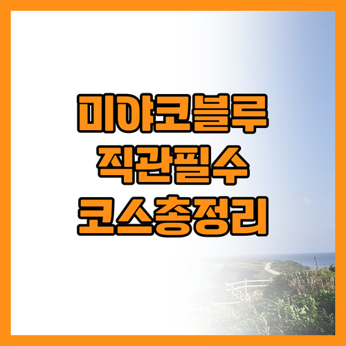 미야코지마 여행 미야코블루 직관하는 ..