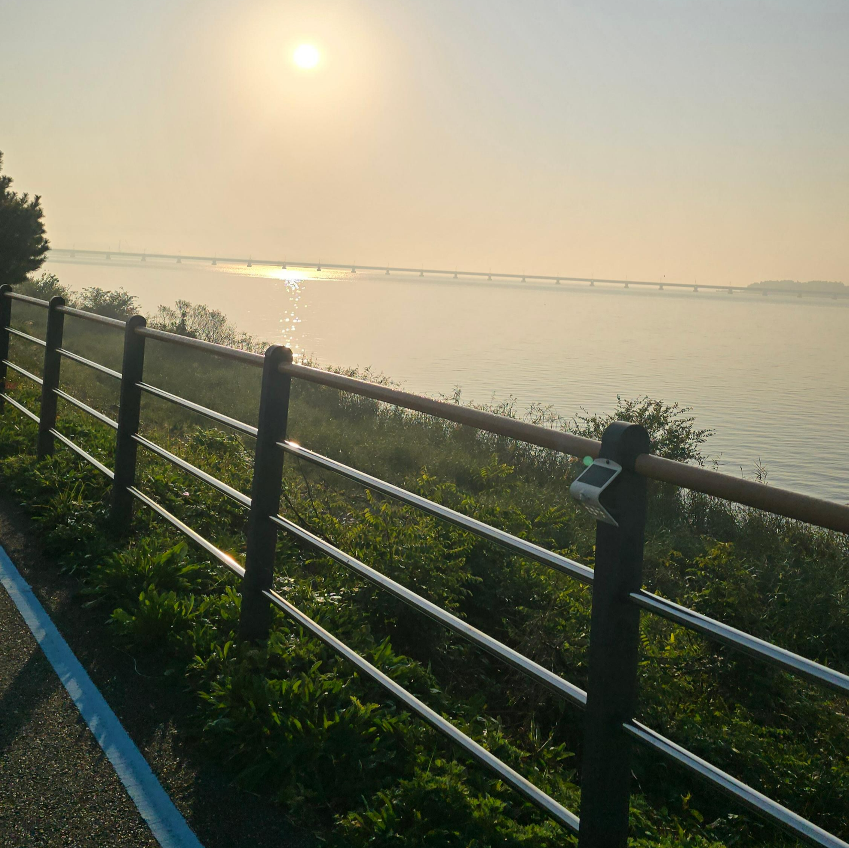러닝하는 수변공원의 아침 풍경