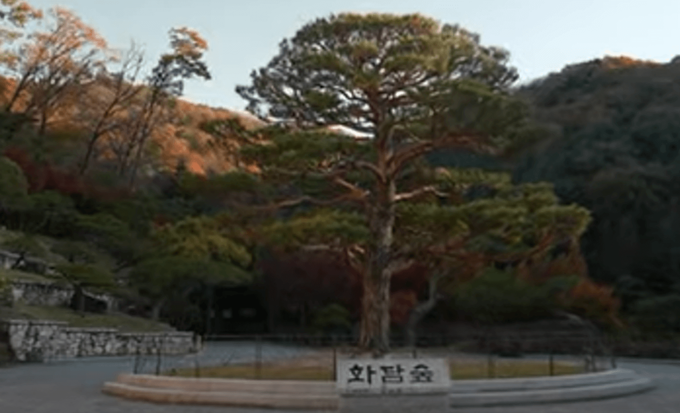 화담숲 예약 시작 입장료 44