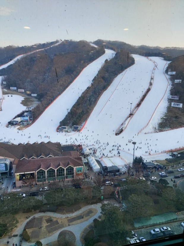 대명 비발디파크