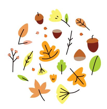 9월 인사말 모음 가을 안부 아침 인사 생일 카톡 문자 상황별 문구 TOP 401