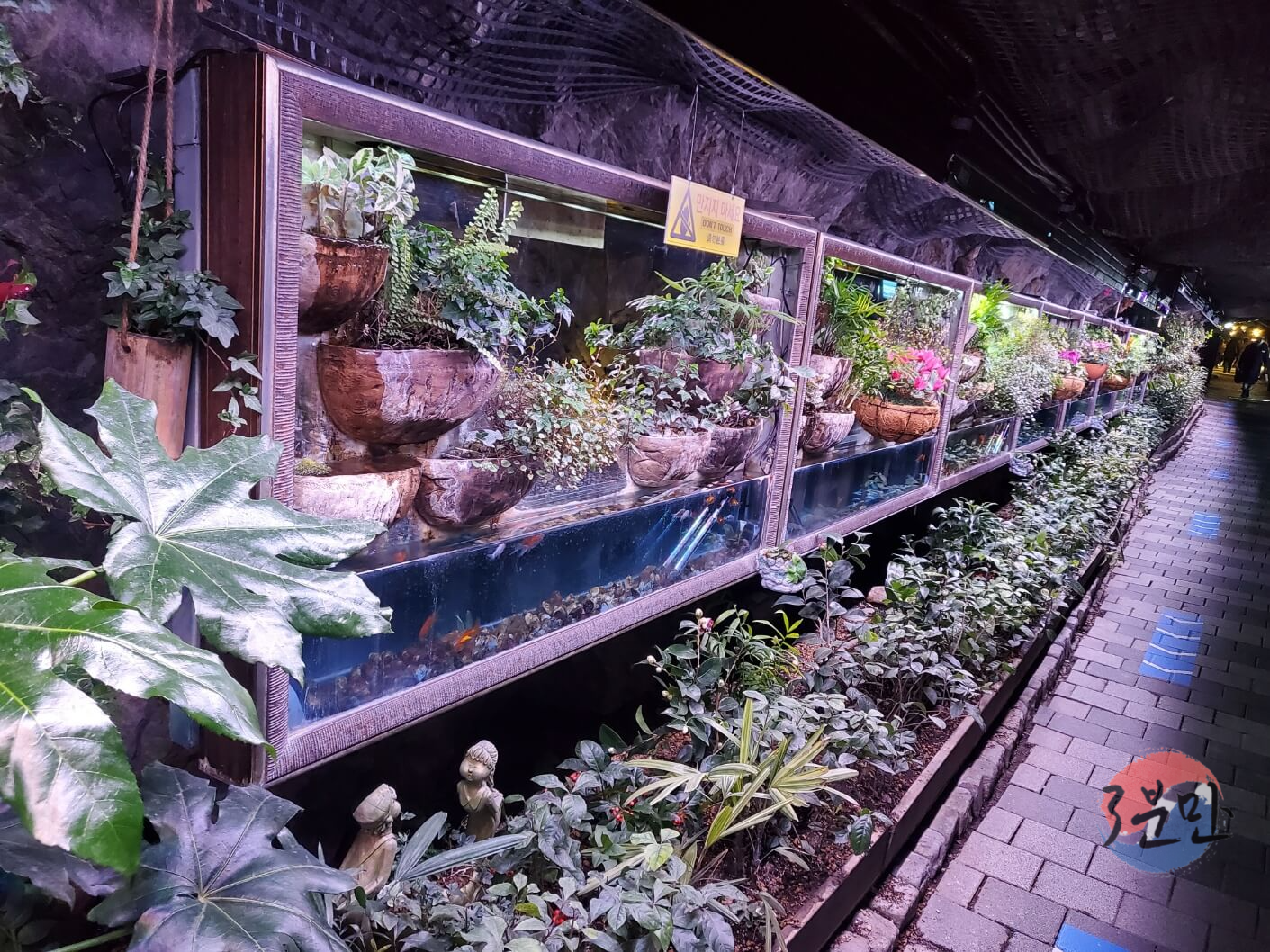 동굴-내부-화초