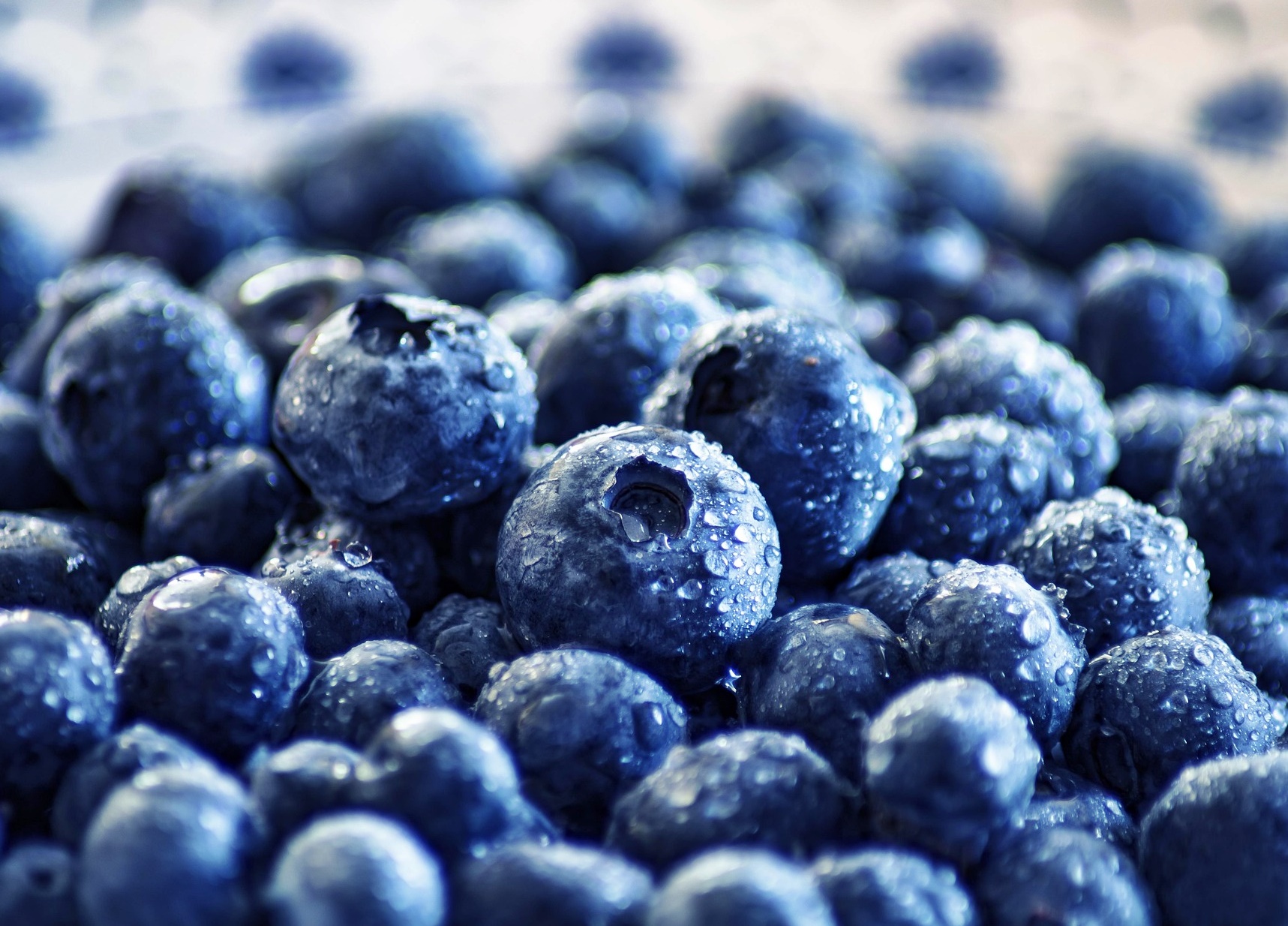 혈당의 방어막&amp;#44; 간이 무너질 때 보내는 5가지 침묵의 신호!