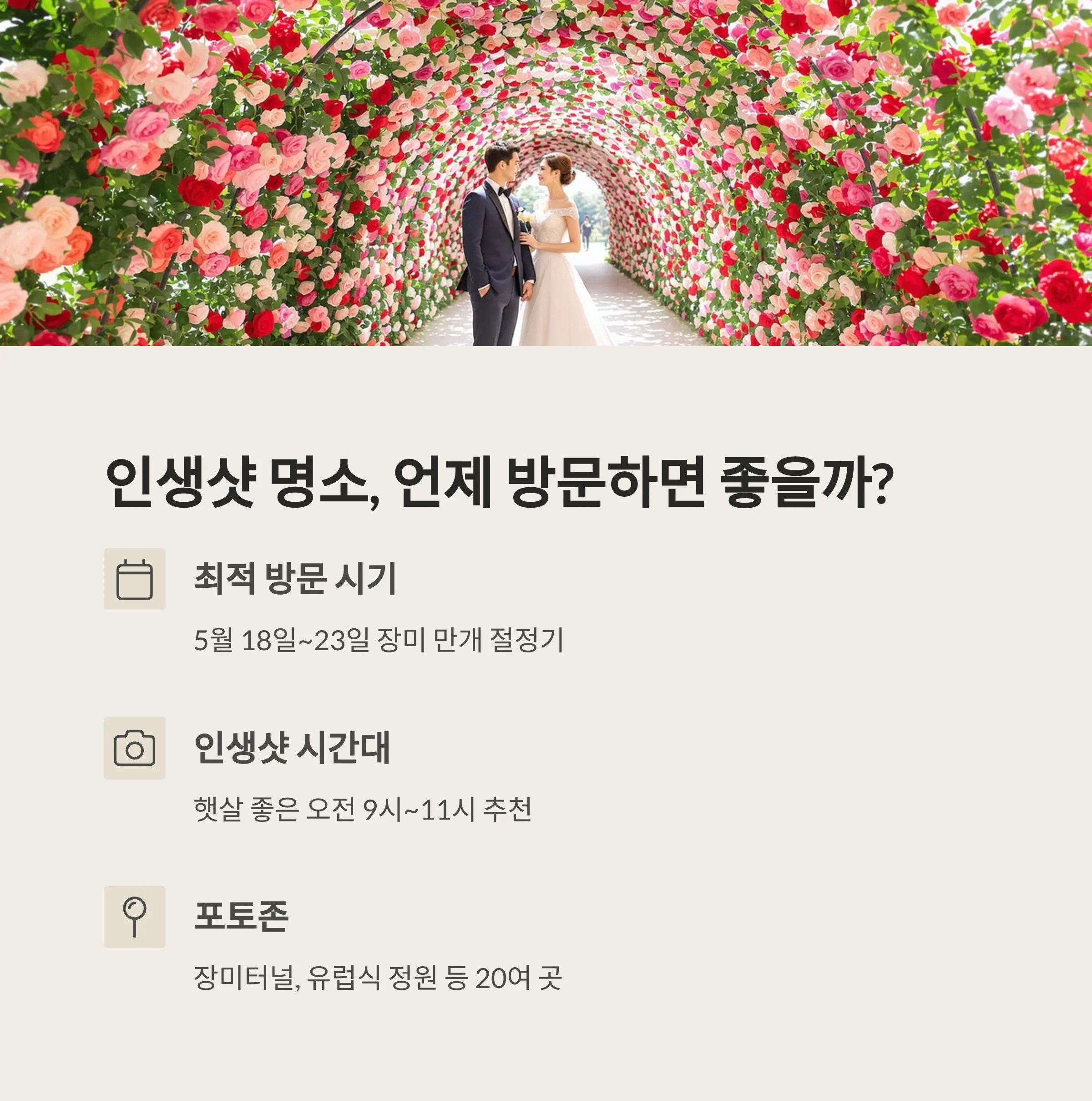 곡성세계장미축제 완벽 가이드
