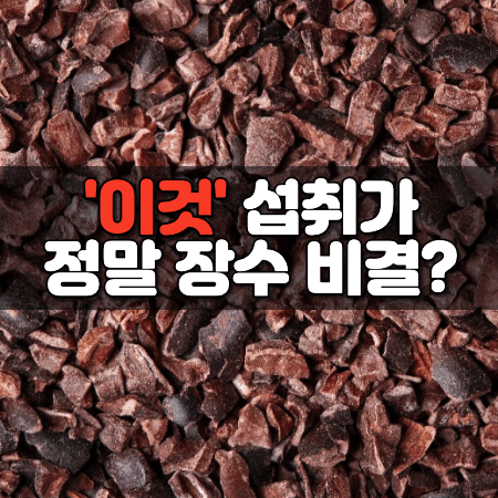 장수비결