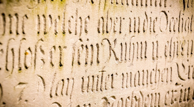 유기 기전력의 물리적 의미