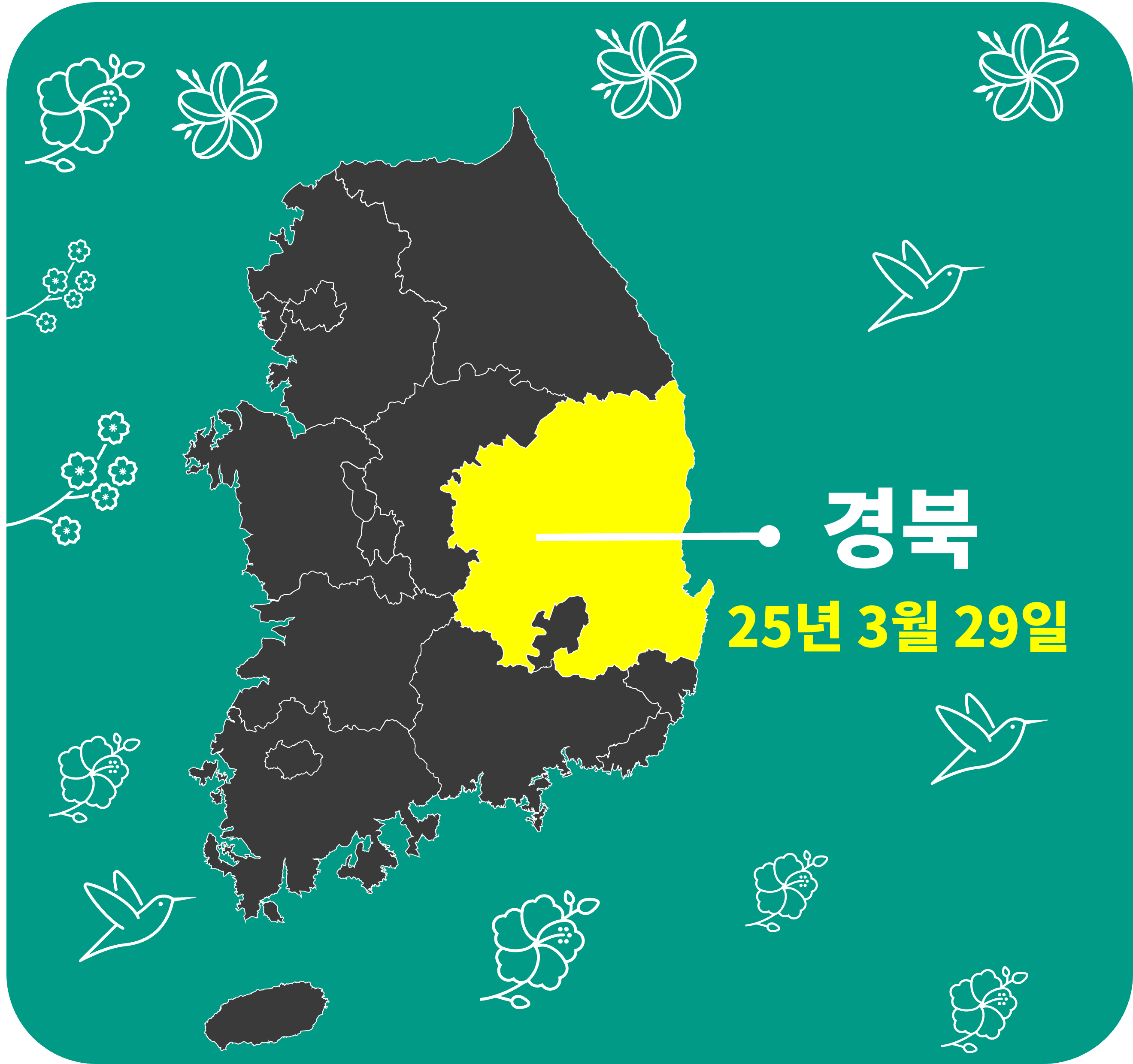2025 벚꽃 개화시기 경북