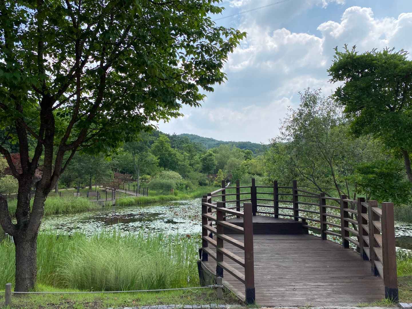 여주 가볼만한곳 베스트10 - 황학산수목원