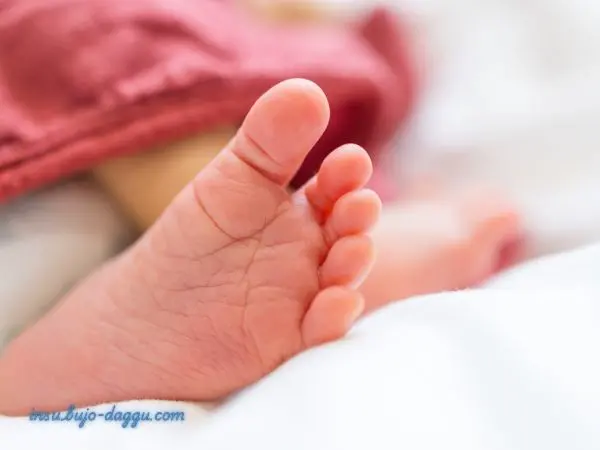 육아휴직 크레딧 완벽 정리 가입기간 인정으로 연금 손해 막는 법