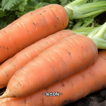 비타민A가 많은 음식