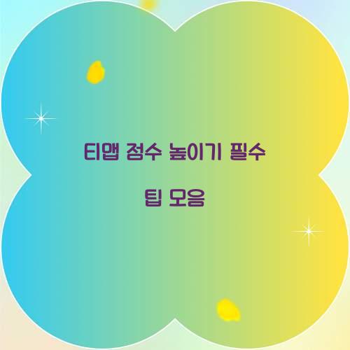 티맵 점수 높이기