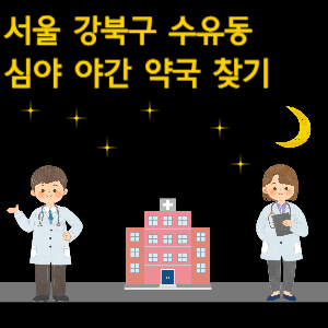 서울 강북구 수유동 심야 야간 24시 약국 찾기