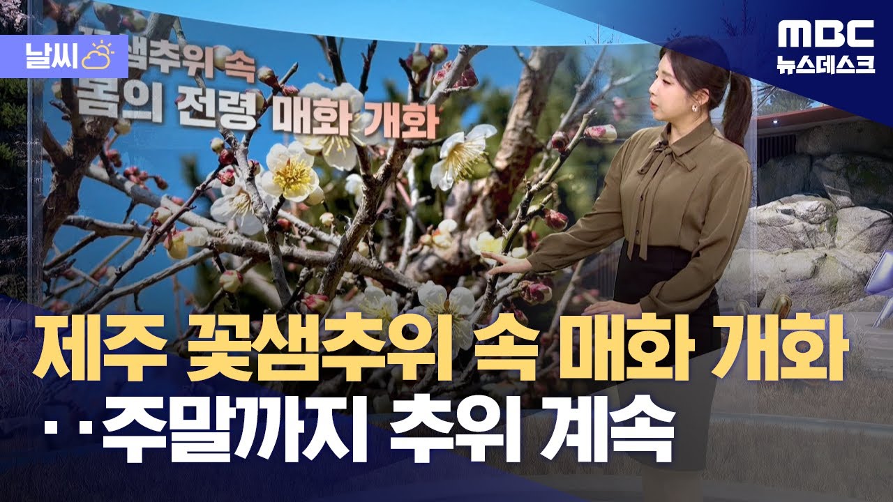 2025년도 꽃샘 추위 전망