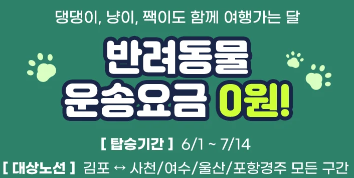 6월 여행가는 달 교통할인혜택