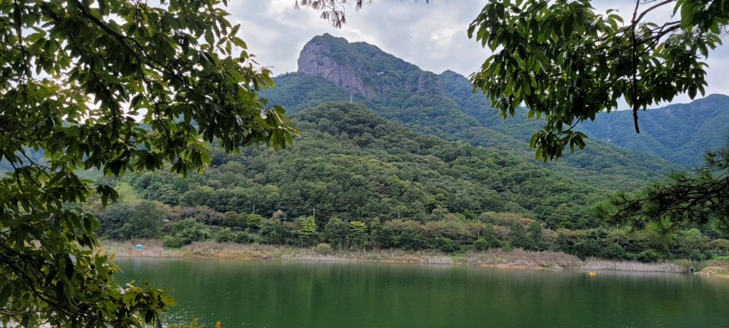 담양호