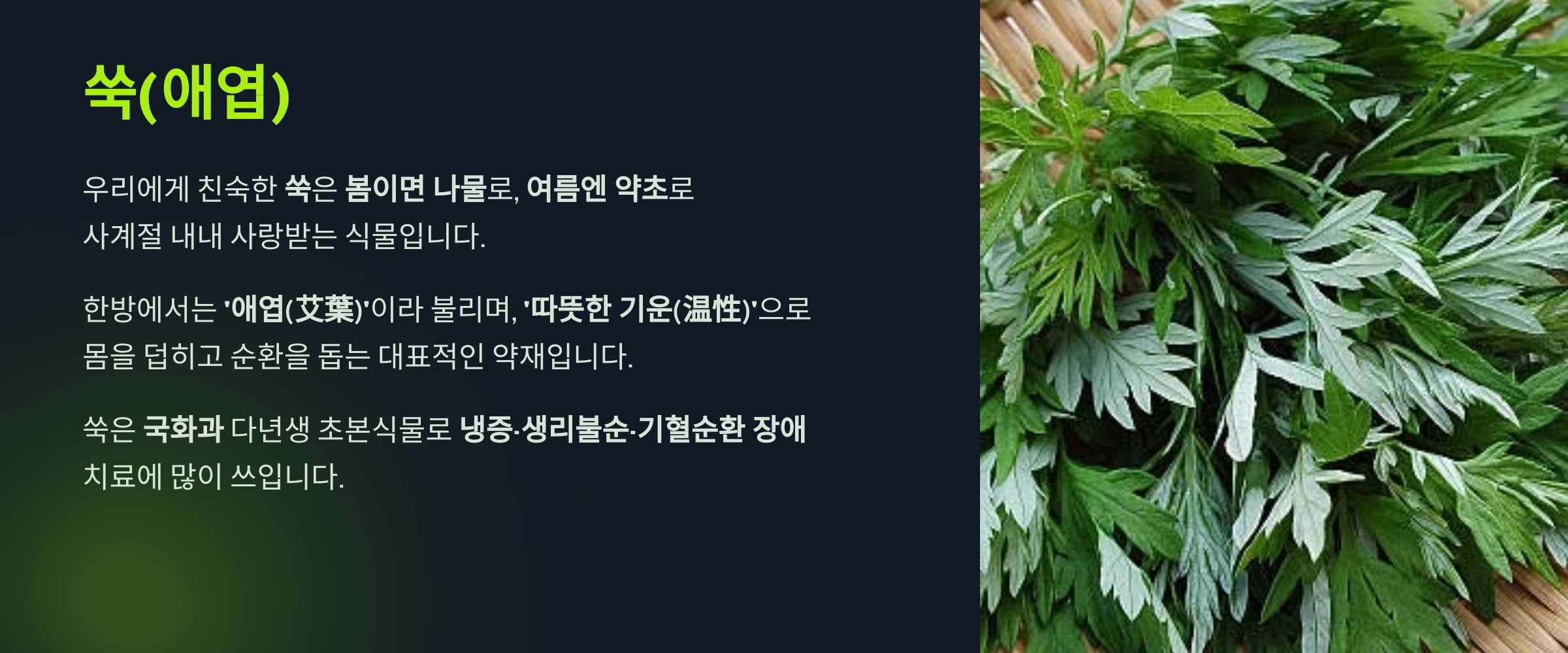 쑥(애엽)이란?