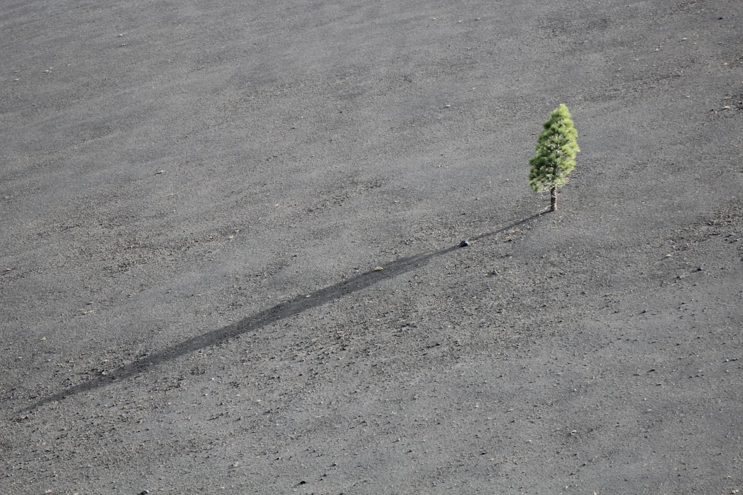 Growth