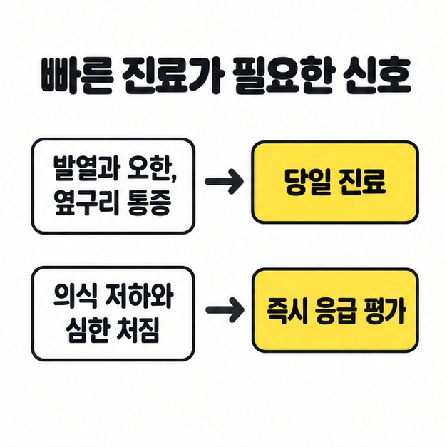발열 오한 옆구리 통증은 당일 진료 의식 저하와 심한 처짐은 즉시 응급 평가로 연결한 증상별 행동 도식