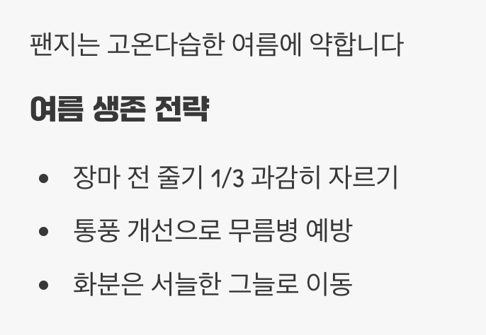 가장 힘든 계절, 여름을 이겨내는 법