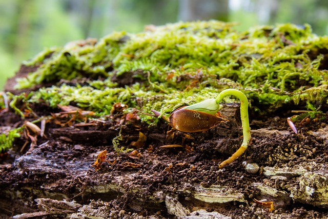아침마다 피곤한 사람을 위한 수면의 질 높이는 생활 습관