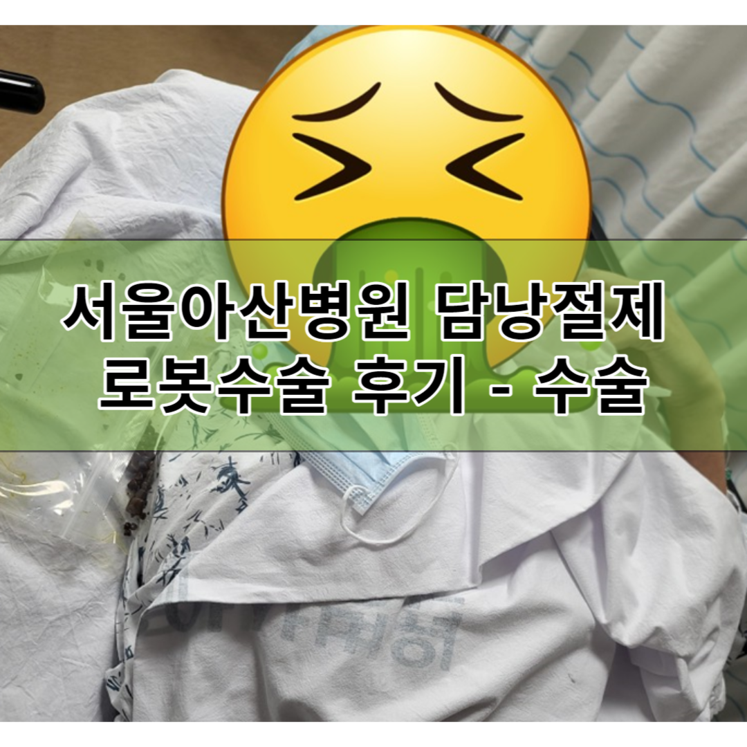 서울아산병원 담낭절제술 로봇수술 후기 - 수술