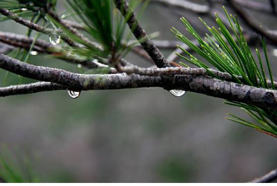 2025 장마 기간&amp;#44; 지역별 예상 일정