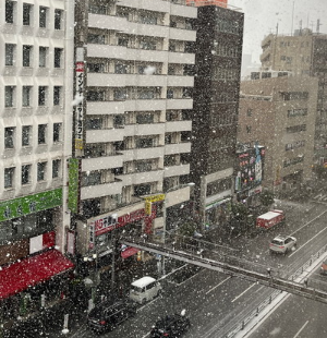 동경에 계속되는 폭설