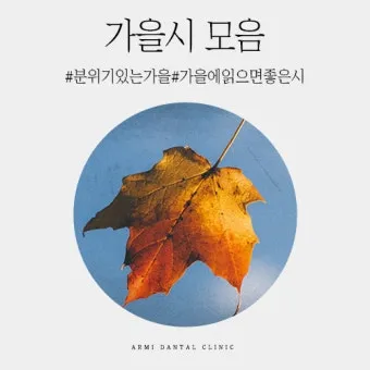 가을 시 모음 5편 추천 선별_23