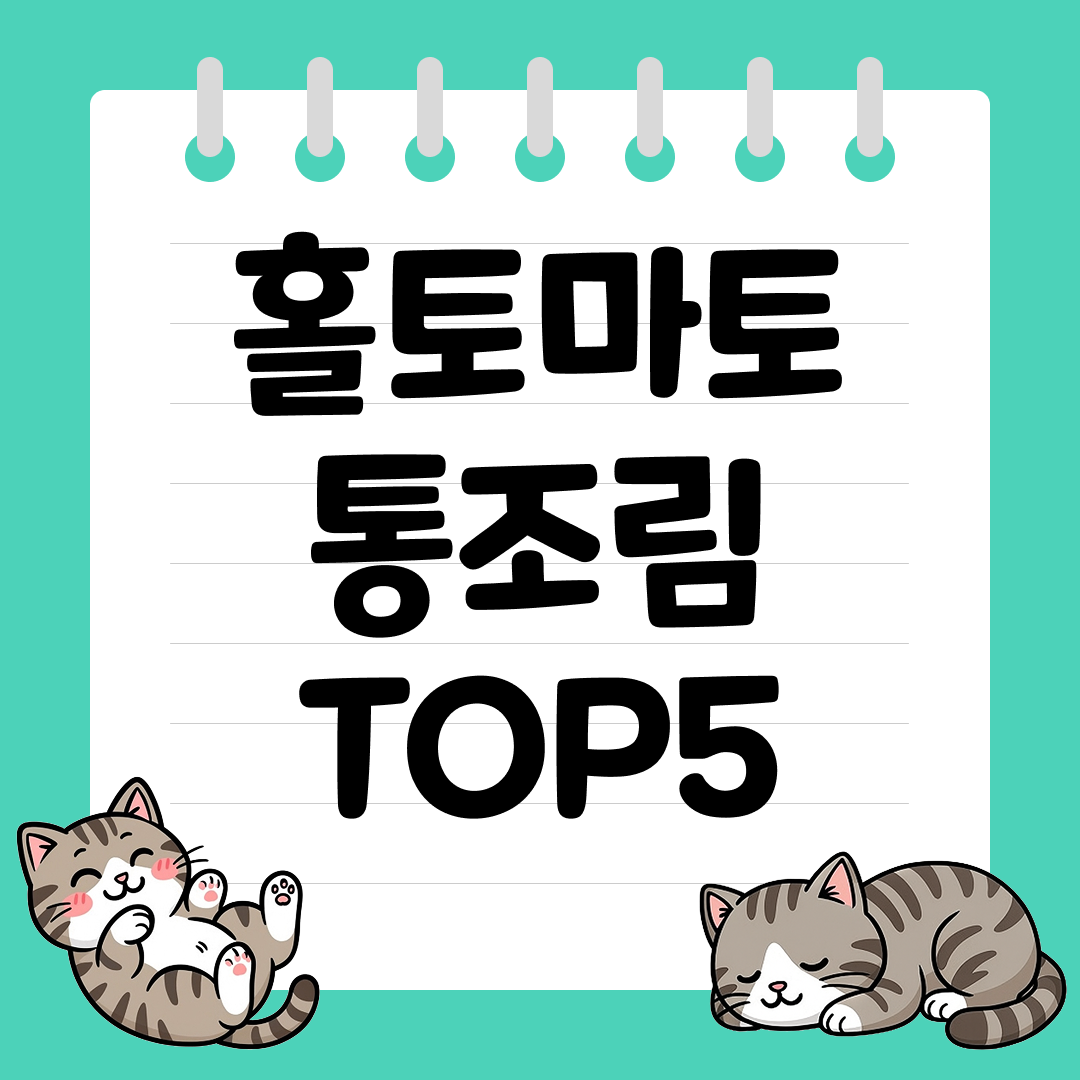 깊은 풍미와 진한 색감! 요리에 꼭 필요한 홀토마토 통조림 추천 순위 TOP5