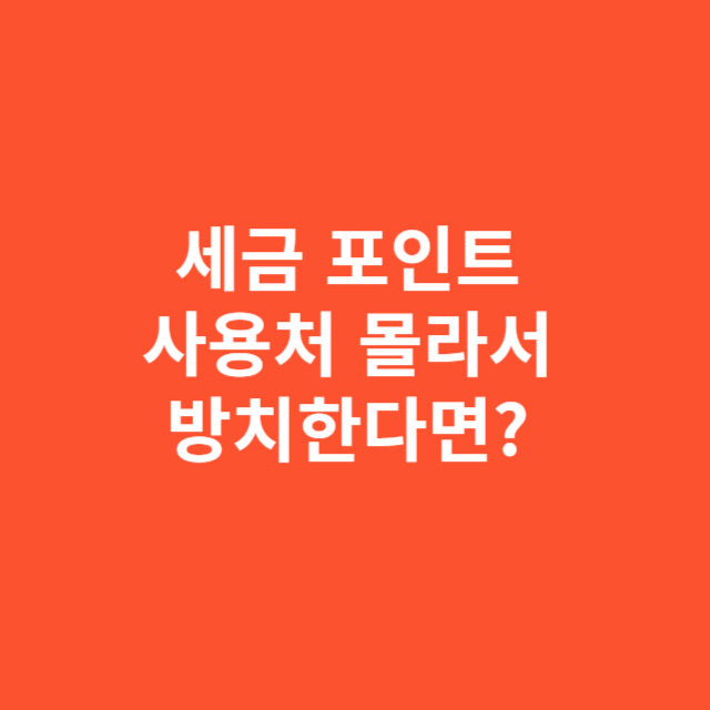 세금 포인트 사용처 몰라서 방치한다면? 국세청 활용법 직접 경험