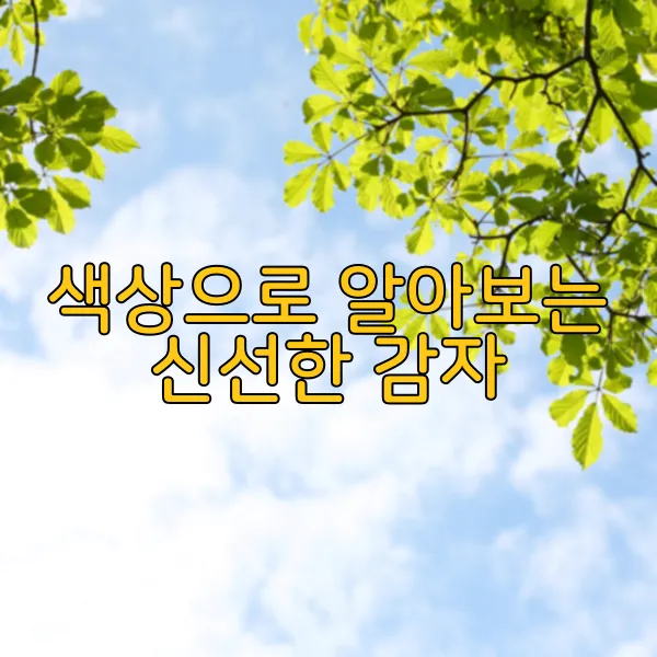 img.webp