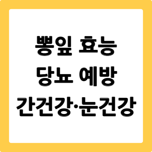 뽕잎 효능