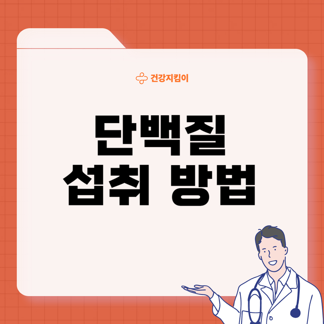 단백질 많은 음식 식물성 동물성
