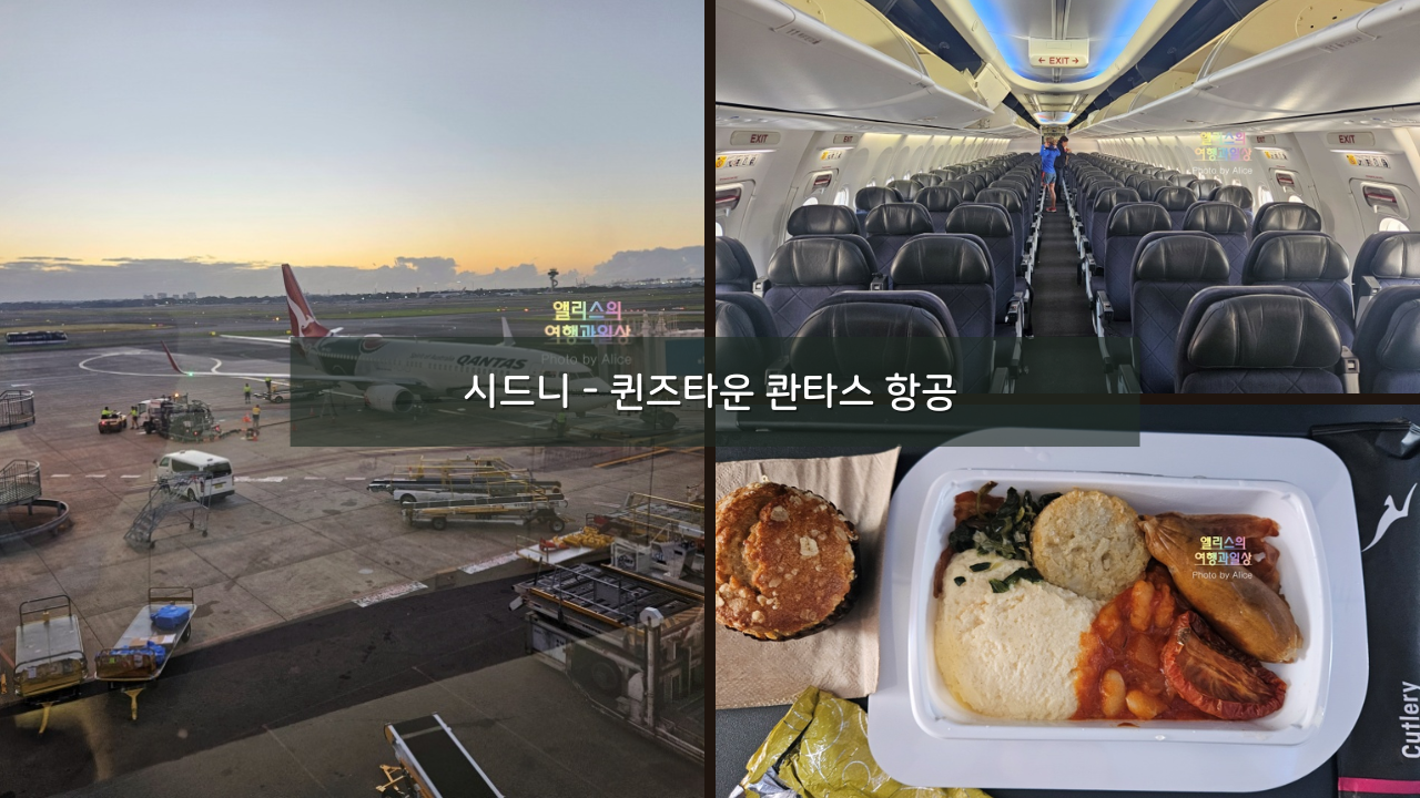 202403 시드니(SYD) - 퀸즈타운(ZQN) 콴타스 항공 이용후기 기체결함 지연