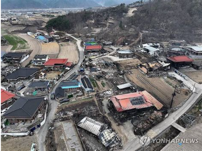 피해 지역 산불 현장