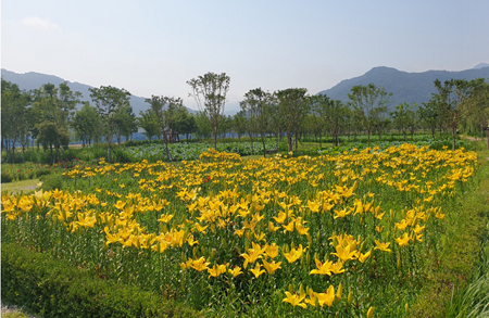 [5월 축제]창포원❘2025 거창에 온 봄 축제, 아리미아꽃축제,거창한 산양삼 축제
