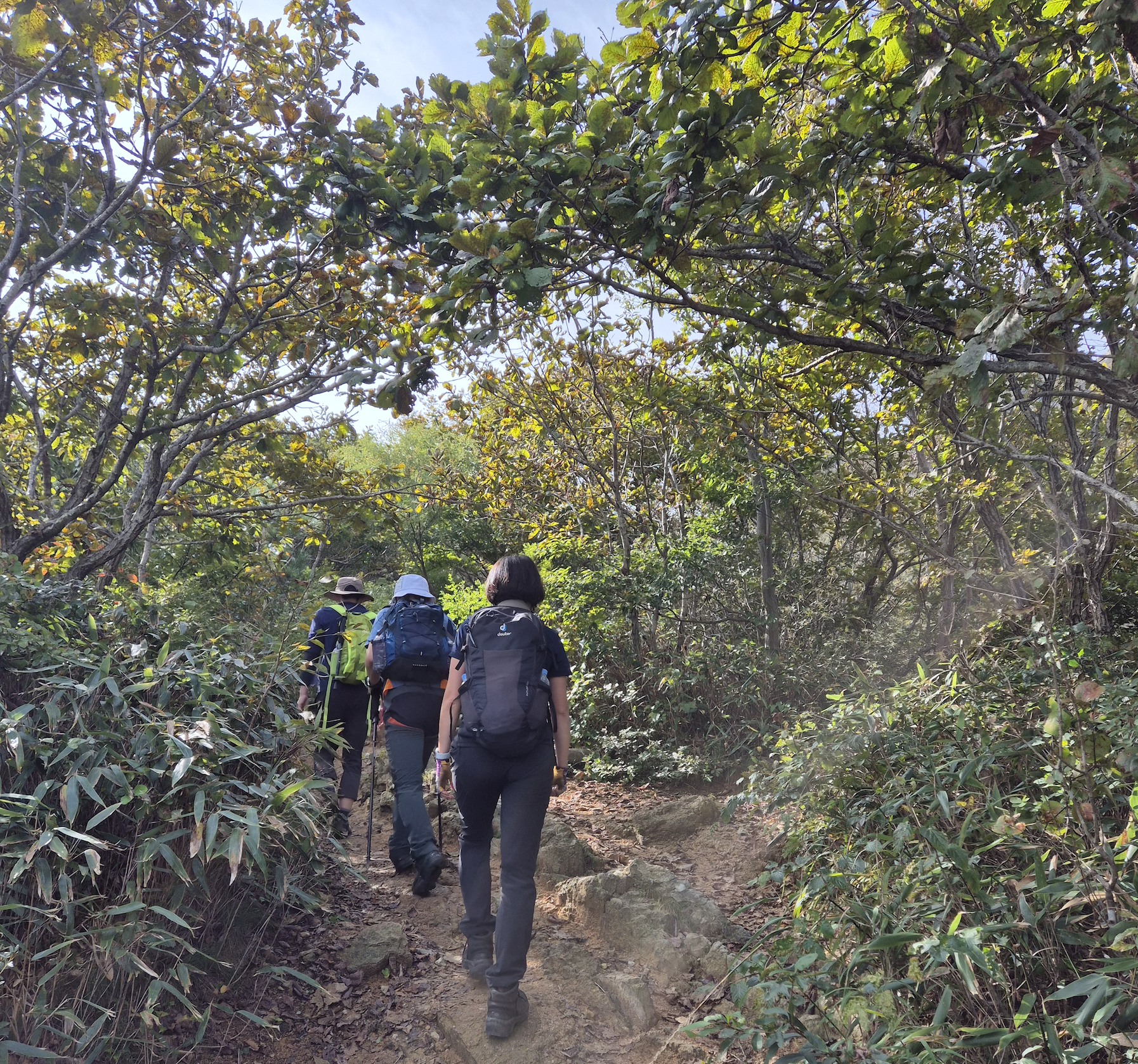 배낭이 잘 보이는 등산 이미지