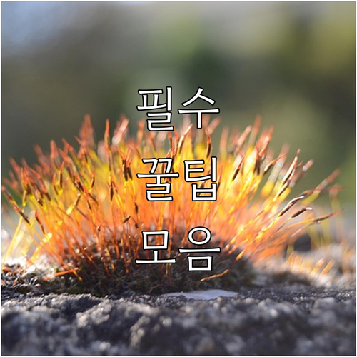 포인트로 목돈! 현대카드 M 에디션3..