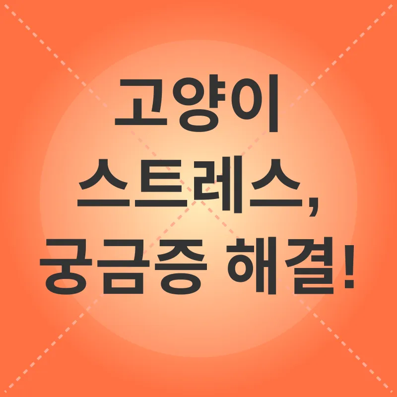 고양이 스트레스 관리_4